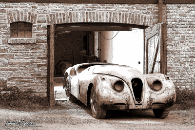 JaguarXK_Garage Body / Limited-Legends © Dirk Patschkowski